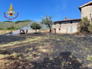 Fiamme di vegetazione a Cicignano (foto vigili del fuoco)