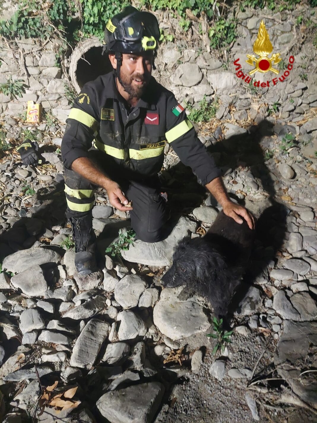 Salvato dai vigili del fuoco un cane incastrato dentro una tubatura a Cantagallo (foto vigili del fuoco)