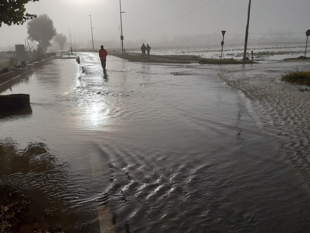 alluvione prato