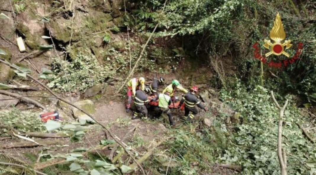 Cade nel bosco e si ferisce alla testa: recuperato da Pegaso