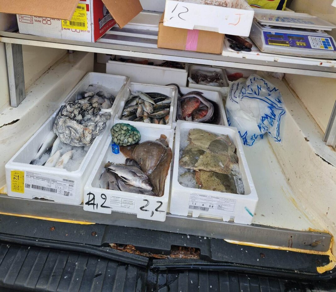 Pesce non tracciato e mal conservato in un furgone: multe e sequestro