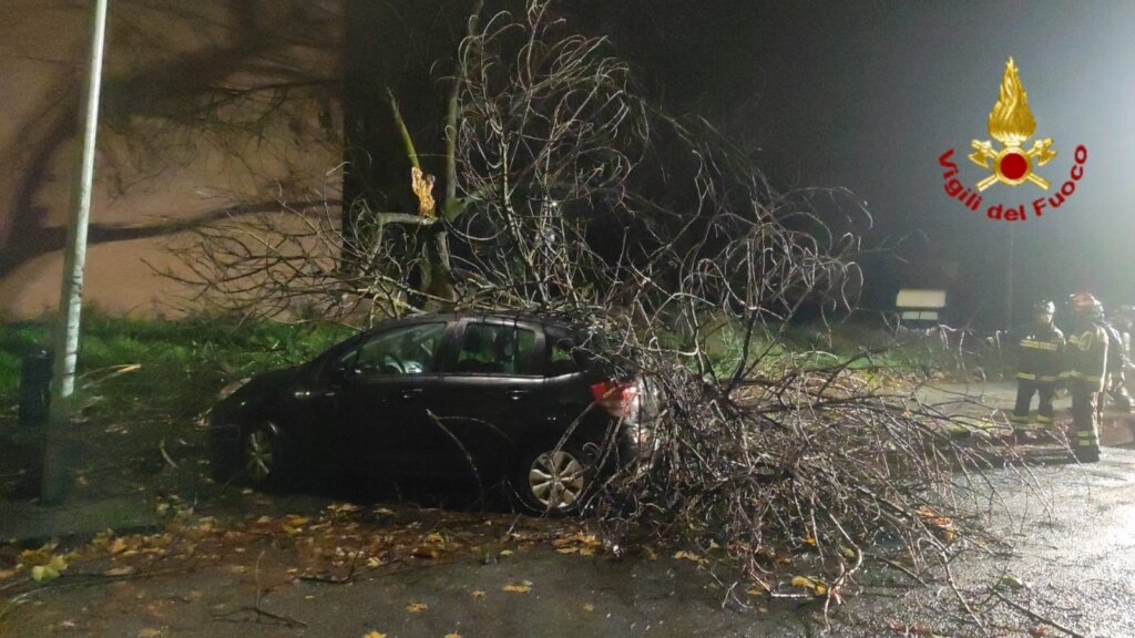 Alberi caduti a Figline di Prato