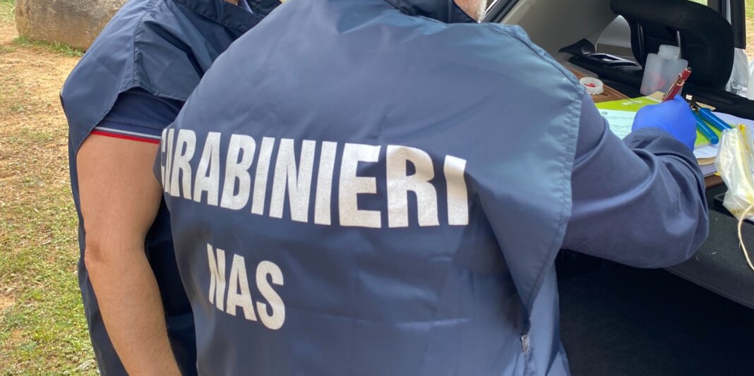 Granchi blu senza etichetta e scarse condizioni igienico sanitarie nei ristoranti: multe e sequestri