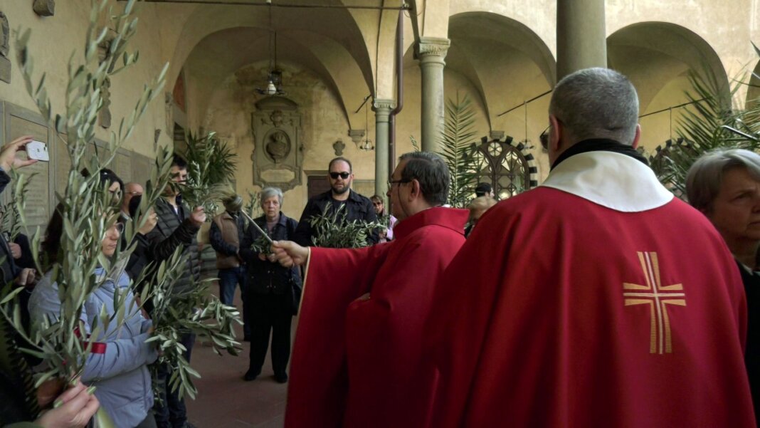 benedizione ulivo