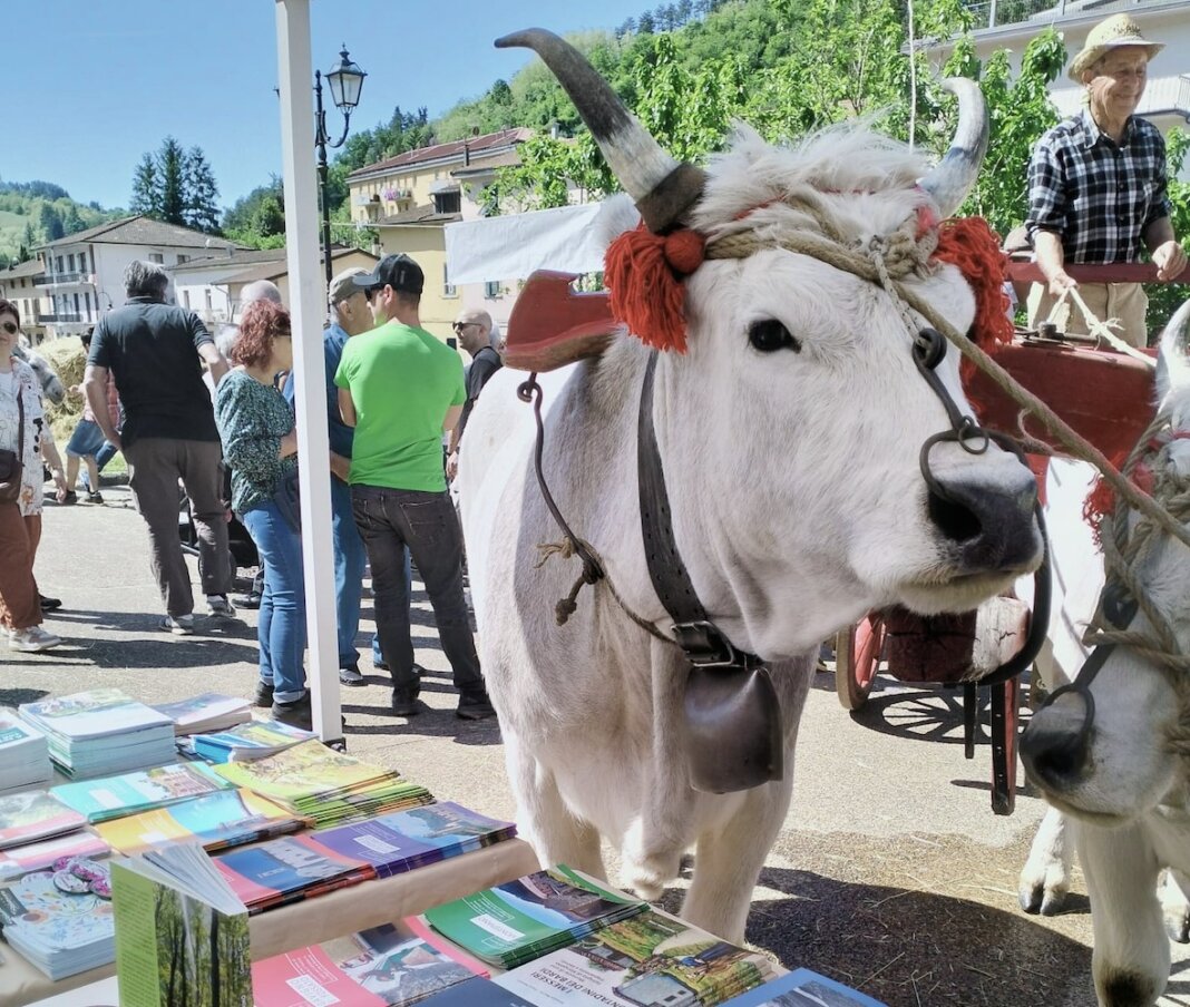 Tutto pronto per la Fiera di San Giuseppe a Vernio