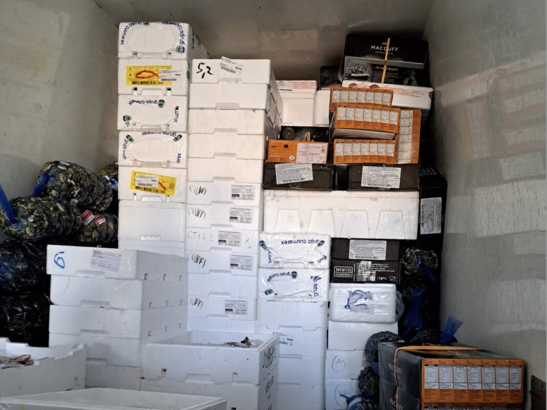 Pesce mal conservato nel trasporto, multe a tre furgoni frigo