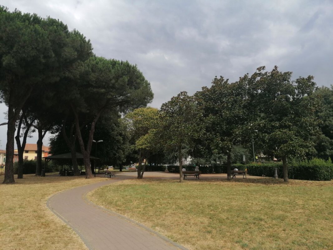 alberi