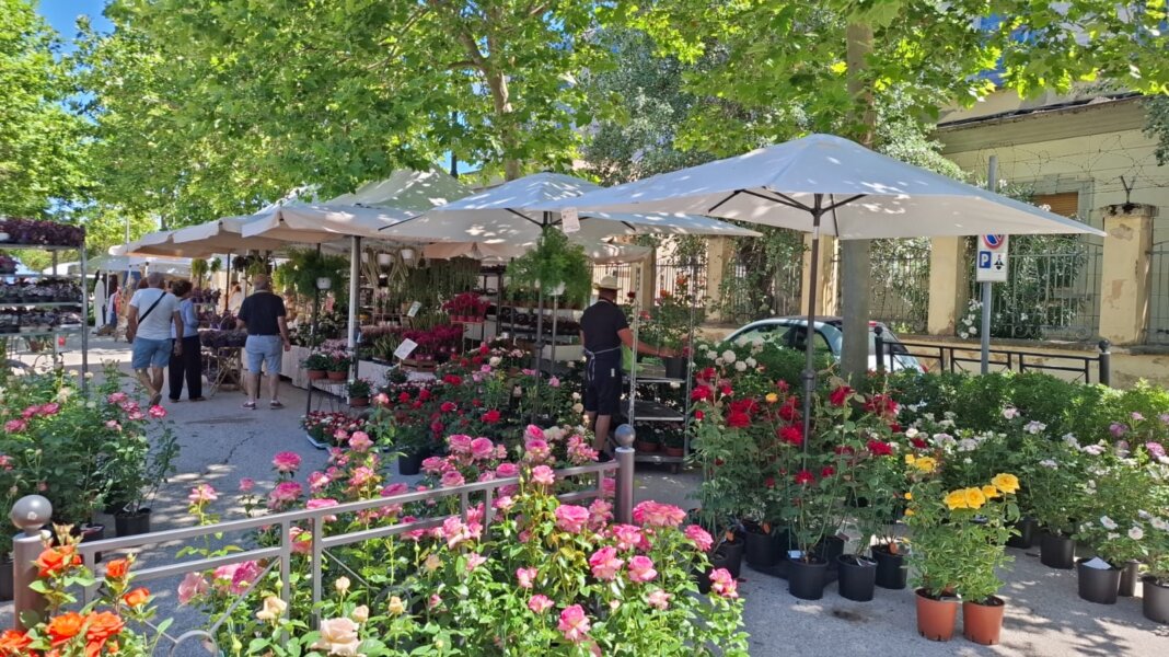 Prato in Fiore