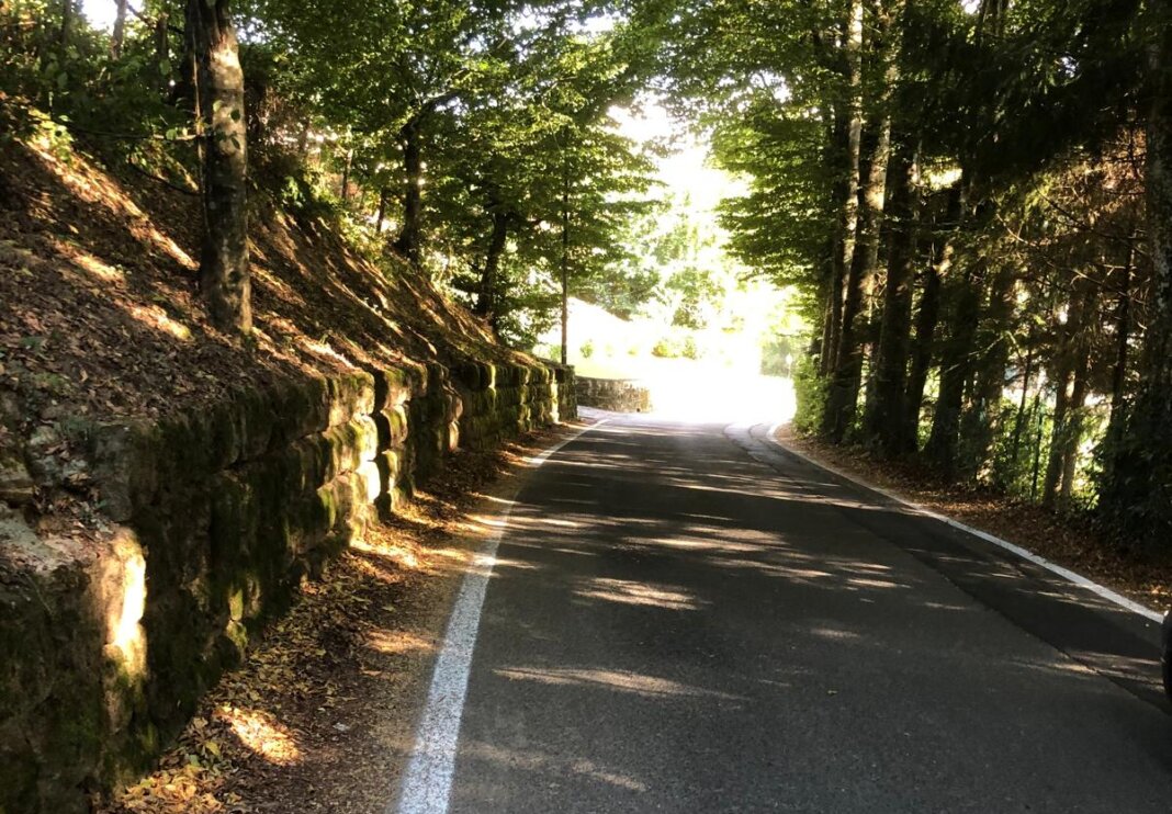 Iniziati i lavori di messa in sicurezza dell'illuminazione sulla provinciale 1