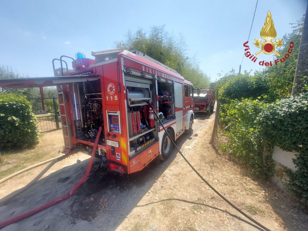 Intervento dei vigili del fuoco salva dieci cani da un incendio