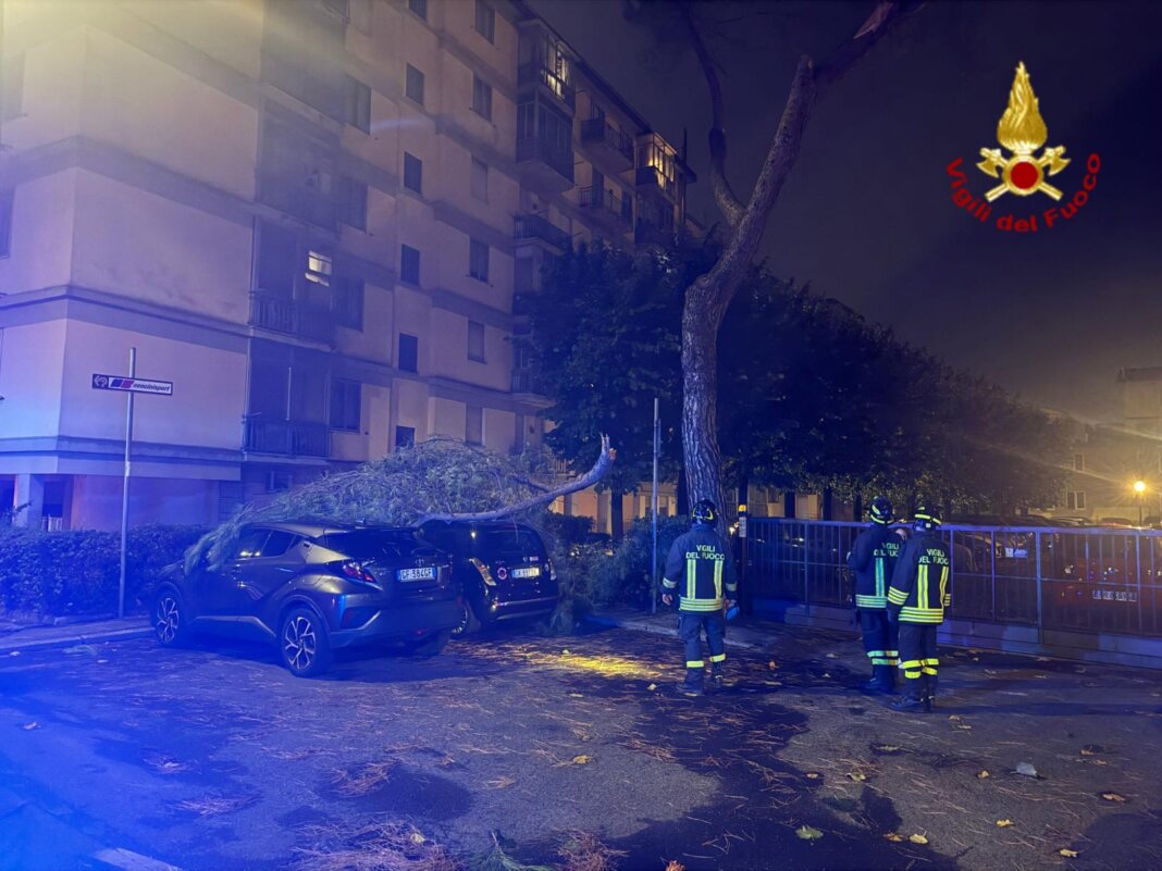 Alberi e rami caduti e tegole pericolanti: notte di interventi per il maltempo a Prato