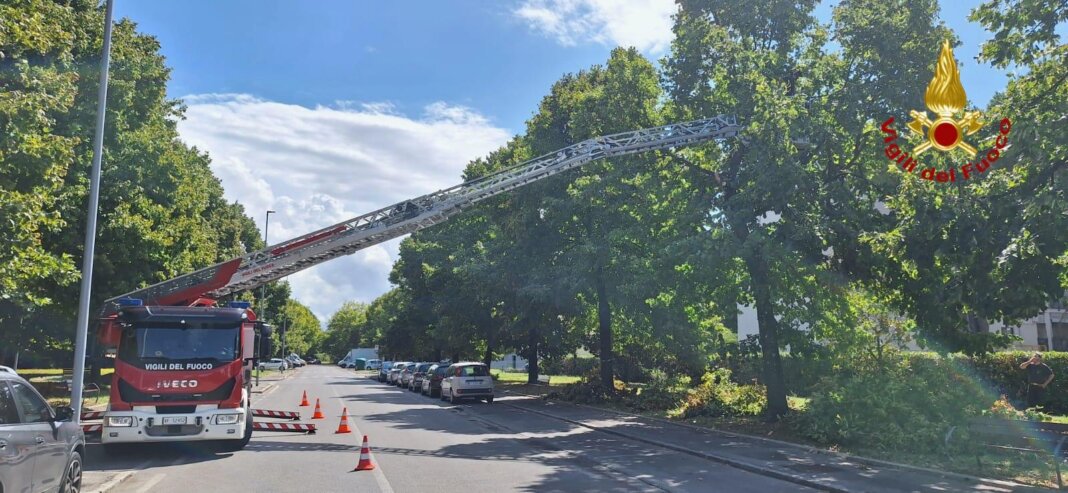 Decine di interventi in provincia di Prato per il temporale della notte (foto vigili del fuoco)