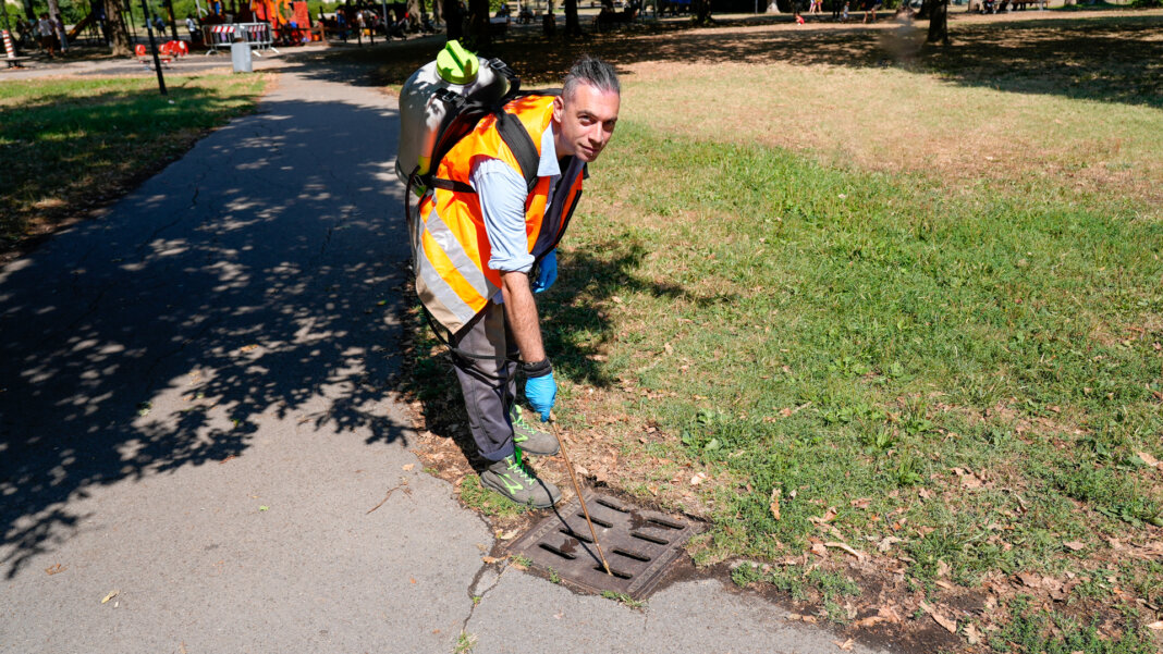 disinfestazione zanzare
