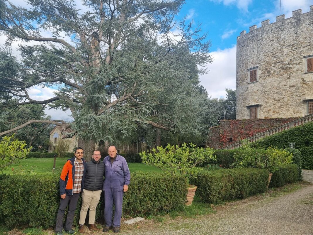 A Montemurlo arriva il 'dottore' degli alberi monumentali
