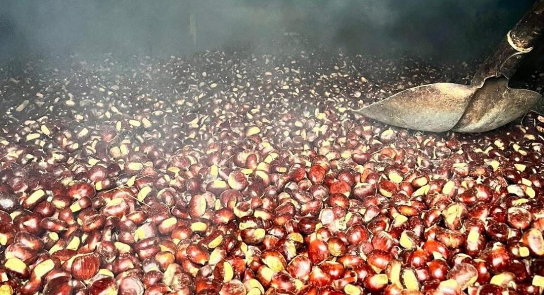 Identità e tradizione: a Vernio un convegno sulla farina di castagne