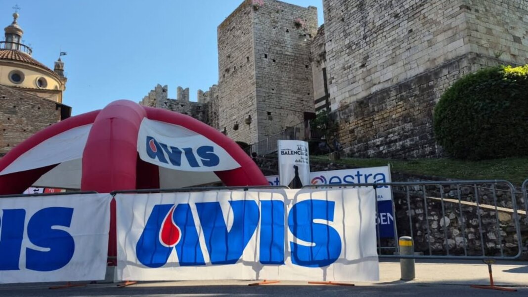 Avis Prato