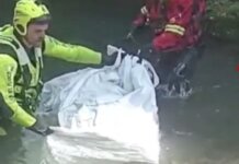 Recuperata la carcassa di un cervo nel nel torrente Fiumenta